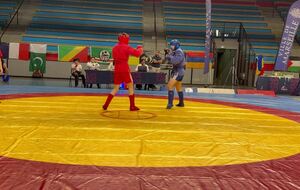 Finale Sambo Combat Seniors -71kg